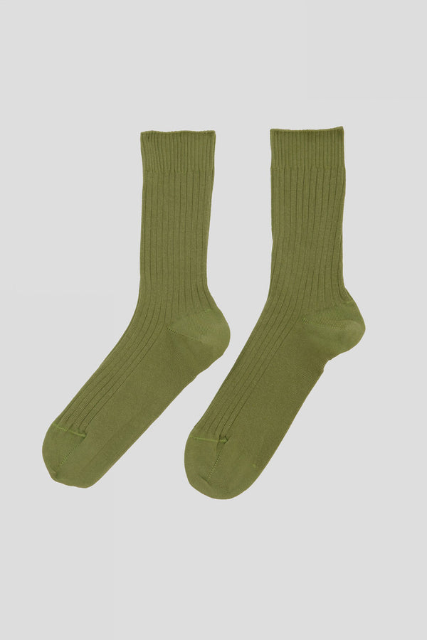 BASERANGE ribbed pleated socks KARS-CR-AU23 green(KOK)